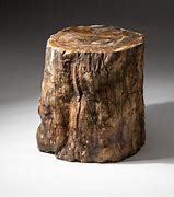 Image result for Petrified Wood Log