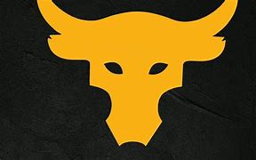 Image result for The Rock Under Armour Logo