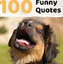 Image result for humorous age quotations