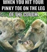 Image result for Funny Life Humor Memes