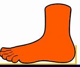 Image result for Feet Measurement