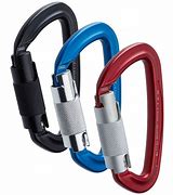 Image result for Locking Carabiner Product