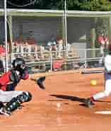 Image result for Dansk Softball. Size: 157 x 185. Source: www.dif.dk
