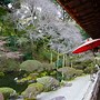 Image result for Visiting My Relatives Japanese