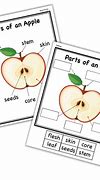 Image result for Label Parts of an Apple