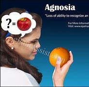 Image result for agnosoa
