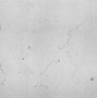Image result for Destreted Scratch Texture