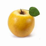 Image result for Yellow Apple