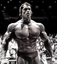 Image result for Arnold Schwarzenegger High