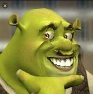 Image result for Shrigga Shrek Memes