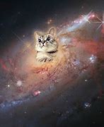 Image result for Space Cat Wallpaper HD