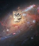 Image result for Outer Space Cat