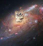 Image result for Space Cat Computer Wallpaper