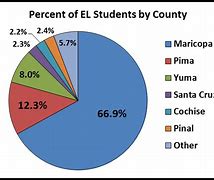 Image result for Arizona Demographics