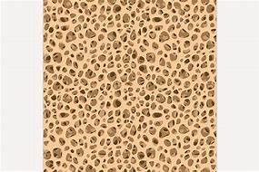 Image result for Bone Seem Less Texture