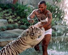 Image result for Mike Tyson with Tiger