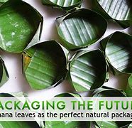 Image result for Green Packaging