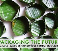 Image result for Creative Package Design