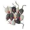 Image result for Fake Mice That Look Real