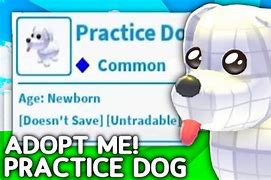 Image result for Roblox Pet Dog