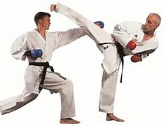 Image result for Karate Sport