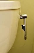Image result for Kohler Persuade Dual Flush Toilet
