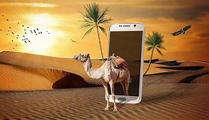 Image result for Camel Unlocks Phone