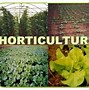 Image result for horticultura
