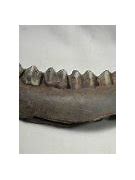 Image result for Deer Jawbone Artifact