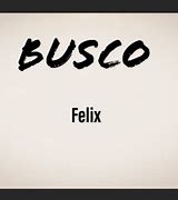 Image result for busco