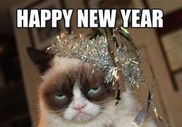 Image result for Happy New Year Animal Meme 2019