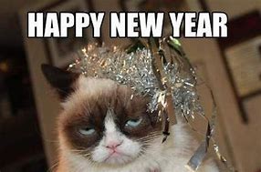 Image result for Funny Cat Meme Happy New Year 2019