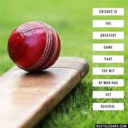 Image result for Cricket Phrases Funny