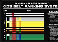 Image result for BJJ Belt Ranks