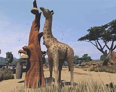 Image result for co_oznacza_zoo_tycoon_2