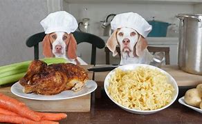 Image result for Dog Cooking Meme