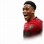 Image result for Anthony Martial Rain Picture