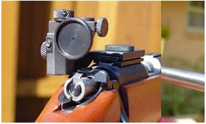 Image result for 50 Meters in Iron Sights