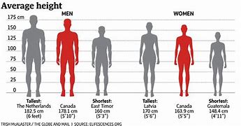 Image result for 170 Cm Tall Man