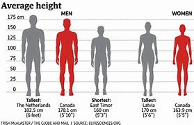 Image result for 60 Cm Tall