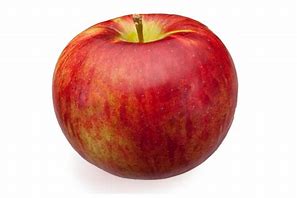 Image result for Pomme Cortland