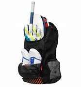 Image result for Cricket Vac Bag