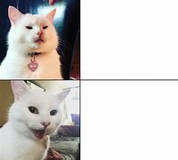 Image result for Confused Cat Meme with Emoji