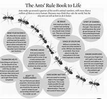 Image result for Ur Life Is as Worth Less as a Summer Ant