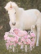 Image result for Real Unicorn Babies