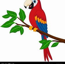 Image result for Parrot Cartoon