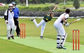 Image result for Playing Cricket