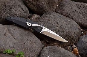 Image result for Kershaw Fixed Blade Knives