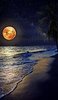 Image result for Full Moon Scenery