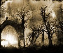 Image result for Dark Gothic Forest Wallpaper